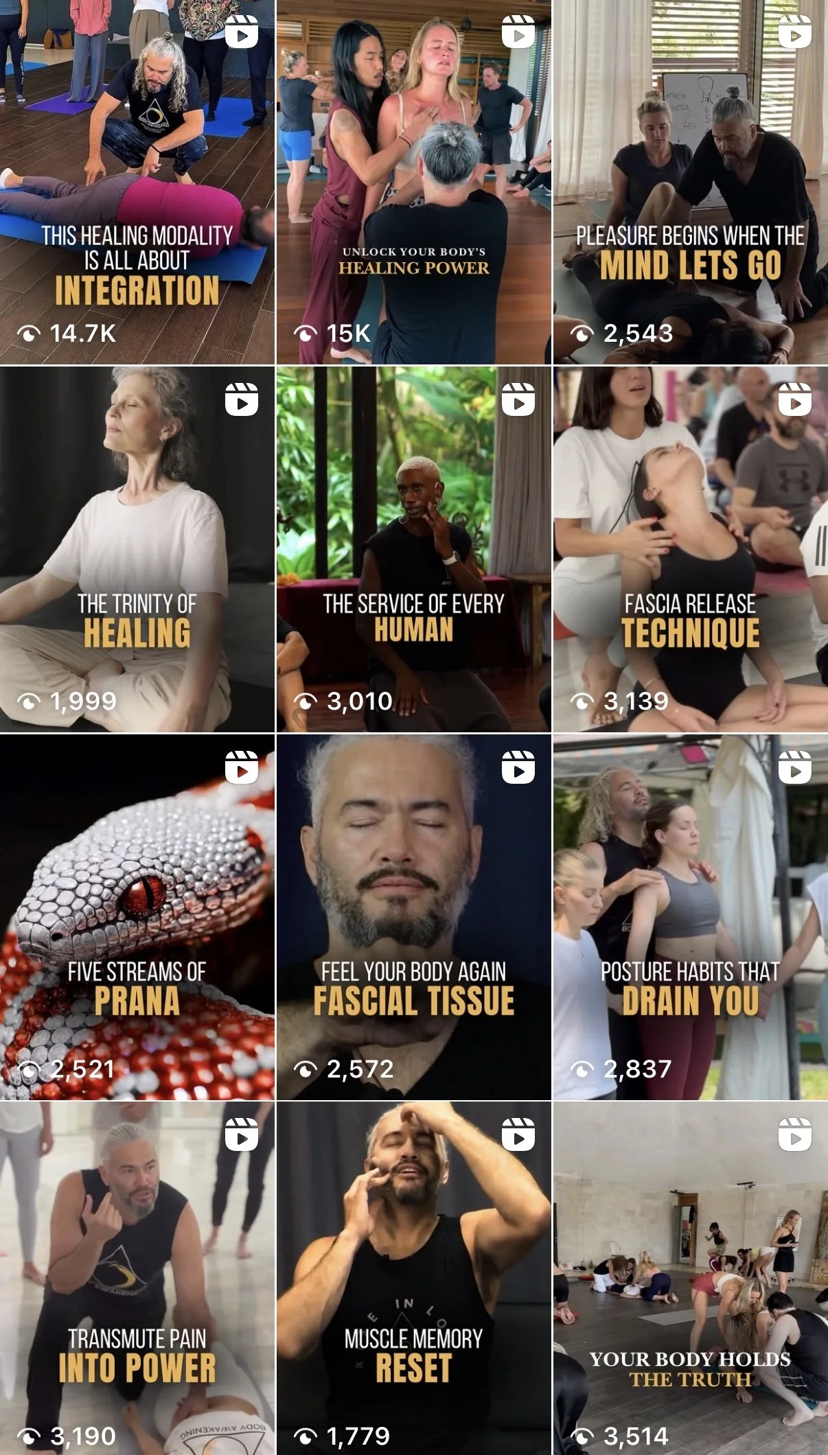Body Awakening Journey Instagram reels performance, up to 14.7K views per reel