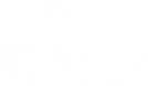 Koala Stay